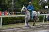 Immagine <b>REG_9163</b>